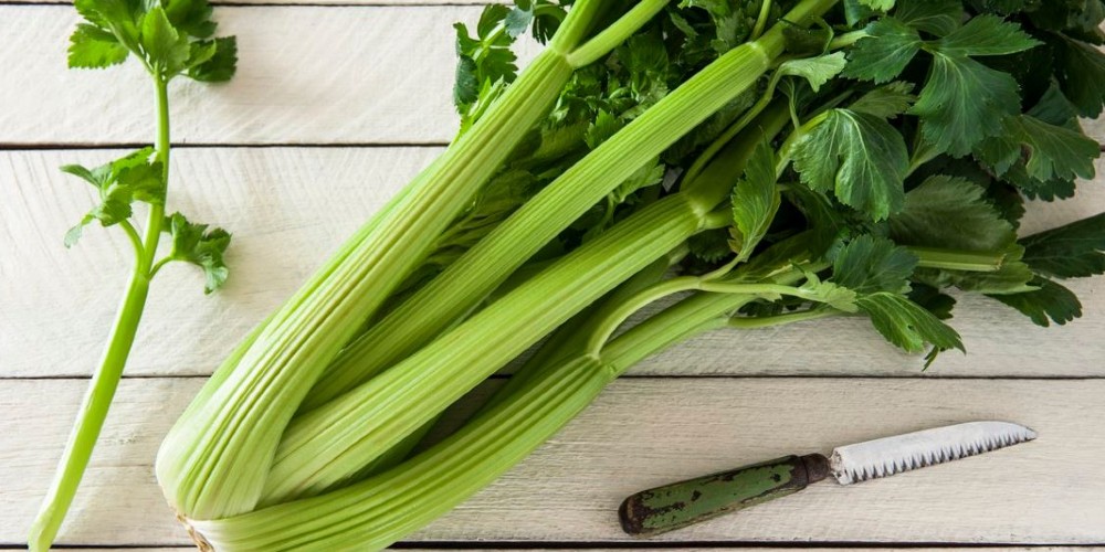 5 beneficios de comer apio