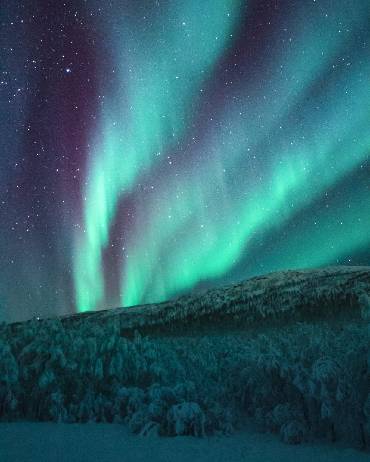 20 Lugares Donde Se Pueden Ver Auroras Boreales