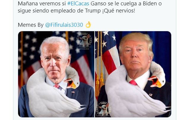 Los Mejores Memes De Las Elecciones De Estados Unidos 0955