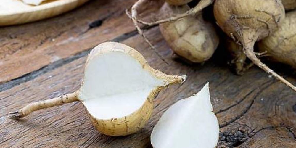 Los beneficios de comer jícamas