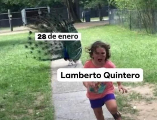 Los mejores memes del narco Lamberto Quintero