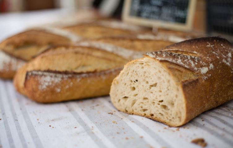 Alimentos que son ricos en probióticos