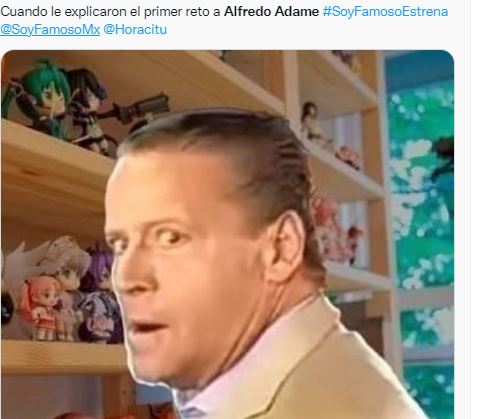 Los memes de Adame en "Soy famoso, sácame de aquí"