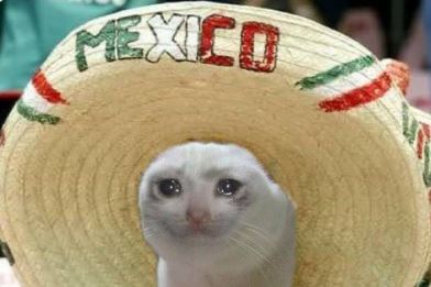 Los mejores memes del festejo del 15 de septiembre en México