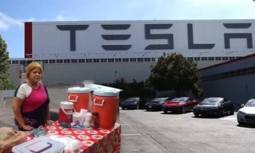 Los mejores memes de la llegada de Tesla a México