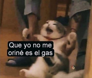Los memes del mal olor en Nuevo León