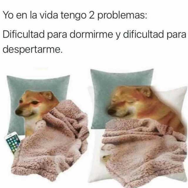 Los mejores memes para cuando no te puedes levantar